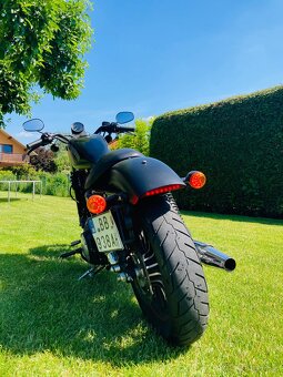 Harley Davidson Sportster - 5