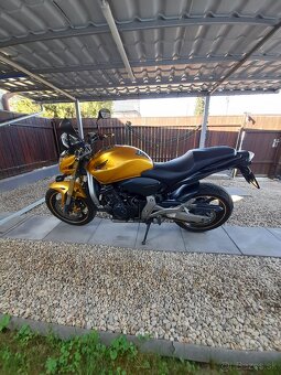 Honda Hornet 600 - 5