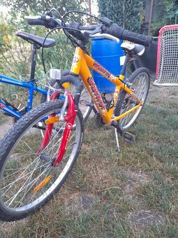 Author 24ka bicykle - 5