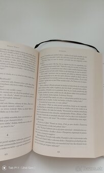 Donna Tartt - Stehlík - 5