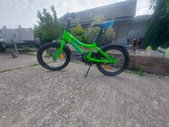 Kenzel lime 16 - 5