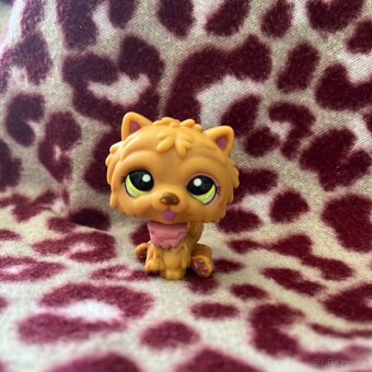 littlest pet shop jazvečík, kólia , čau čau - 5