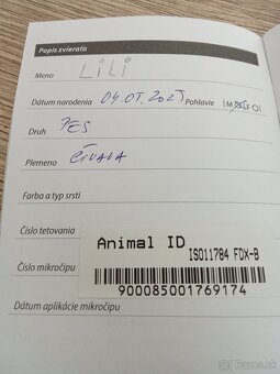 Civava - 5