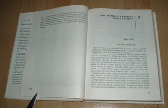Zajac a králik - 5
