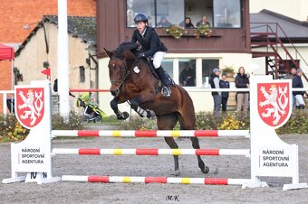 KOBYLKA PO BALLAST NA AKTIVNÍ REKREACI - 5