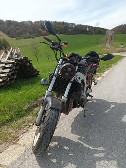 Honda 600 - 5