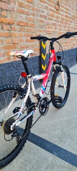 Ctm 24" willy - 5