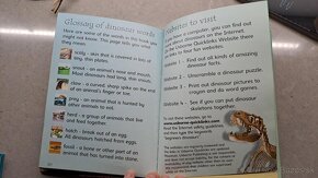 Usbourne Beginers Dinosaurus - 5