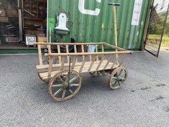 Menší rebriňák - 5