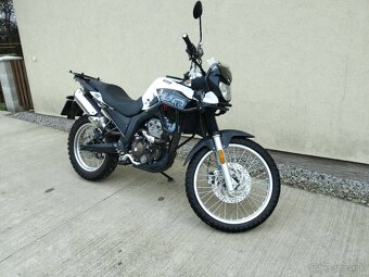 UM DSR Adventure TT 125 - 5