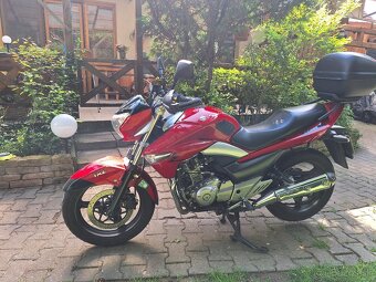 Suzuki gw 250 inazuma - 5