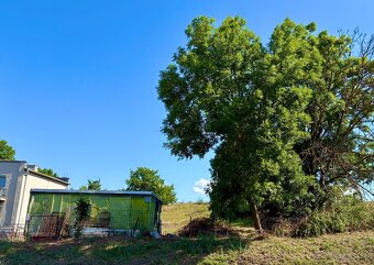 Pozemok pre váš vysnívaný dom – Kalinčiakovo, Levice - 5