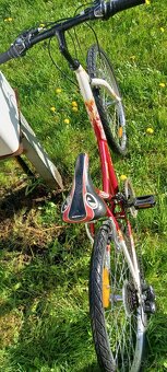 Detský bicykel Dema AGGY 24" - 5