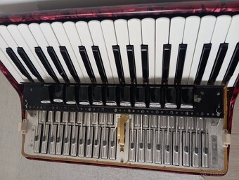 Akordeon Delicia - 5