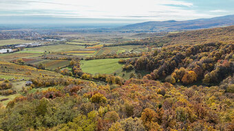 Pekný lesný pozemok kúsok od vyhliadky Vimperk - 5
