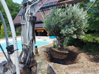 Výkopové a búracie práce BAGER a MINIBAGER TRNAVA MYJAVA - 5