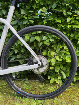 Trek Domane SL 6 (Carbon, Ultegra) - 5