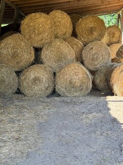 Pšeničná slama z pod strechy - 5