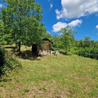 Na predaj rekreačný pozemok 2 920 m², Nové Mesto nad VáhomLo - 5