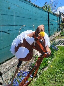 Hobby horse - 5