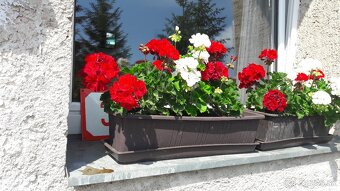 prenájom domu pre firmy a živnostníkov Sučany - 5