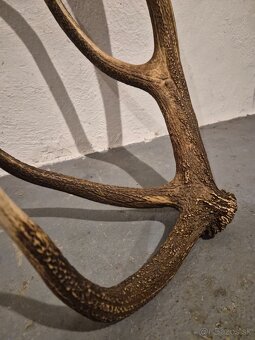 Zhod,trofeje,parožie - 5