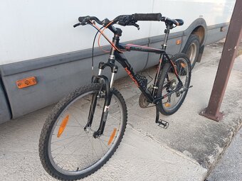 Alpina 19.5" - 5