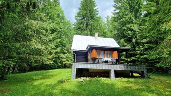 4i chata v lese pri potôčiku Krpáčovo Nízke Tatry - 5