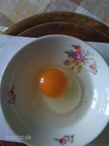 Násadové vajíčka vajcia sliepky Black Star. Tornaľa - 5