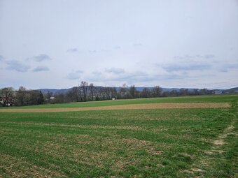 Pozemok v obci Lúčka okres Svidník 1177m2. - 5