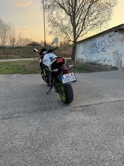 Kawasaki Z650 - 5