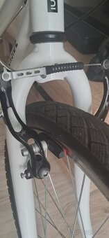 Predam detsky 20" bicykel RIVERSIDE - 5