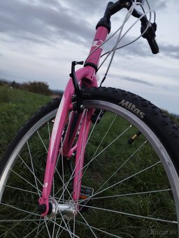 Dievčenský bicykel Dema Vitta 26 - 5