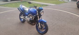 Honda Hornet 600 - 5