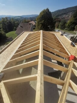 Tesár / Strechár / Stolár - 5