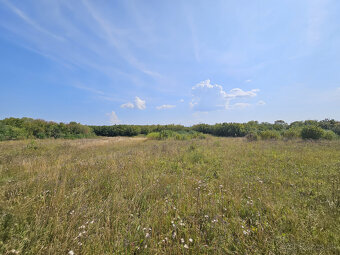 EXKLUZÍVNA PONUKA: PRIESTRANNÝ POZEMOK PRI SVLOVENSKEJ VSI - 5