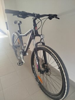 CTM CHARISMA 3.0 - 5