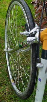 Talianský cesťák F. Moser Corsa 21" - 5