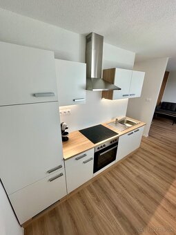 1 izbový byt na prenájom - 5