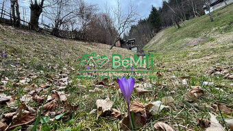 Záhrada s chatkou, 2202 m2, Špania Dolina - 5