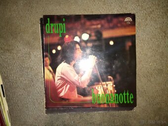 LP platne (ako celok 35 €) - 5
