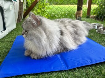 🧊 Chladiaca podložka pre psa alebo mačku – 40 × 50 cm 🐶🐱 - 5