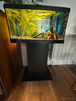 Predám akvárium 50l - 5