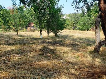Na predaj investičný pozemok "záhrada" o výmere 691 m2 - 5