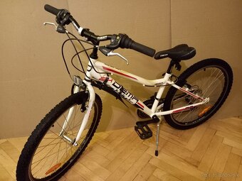 Predám bicykel DEMA - 5