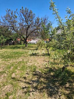 Predaj: stavebný pozemok v obci Nižná okres Piešťany - 5