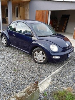 New Beetle - 5