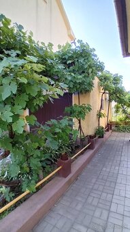 VÝRAZNE ZNÍŽENÁ CENA RODINNÉHO DOMU - 5