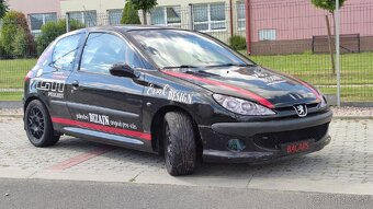 Peugeot 206 gti - 5