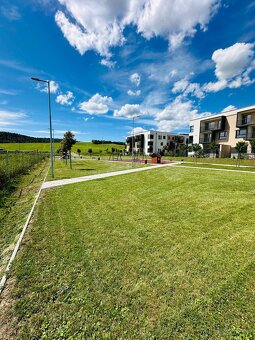 KOSENIE – MULČOVANIE – ČISTENIE POZEMKOV - 5